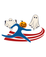 Sport Tasman Powered By MIDAS